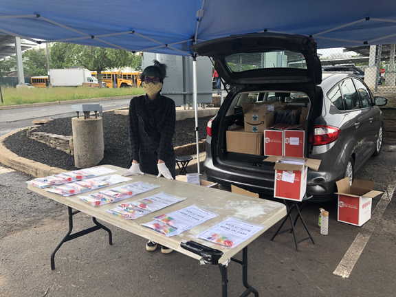  Woman under a blue tent behind a folding table that has arts packets on it. Behind her is a small grey crossover vehicle with the trunk open to reveal more boxes.